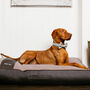 Sustainable Luxury Dog Bed Mattress Kuno, thumbnail 1 of 6