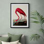 Vintage Flamingo Illustration Art Print, thumbnail 1 of 7