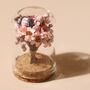 Mini Dried Flower Glass Dome, thumbnail 2 of 8