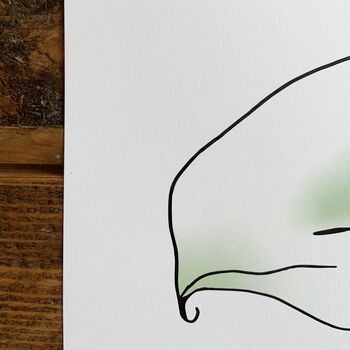 Arum Lily Print, 5 of 6