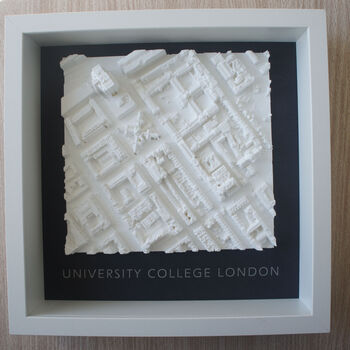 Graduation Gift University College London 3D Printed Map, 4 of 6