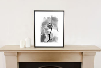 White Orchid I, Black And White, Art Print, 2 of 7
