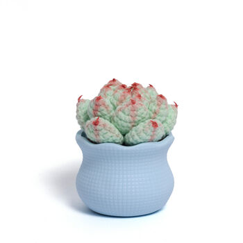Tranquil Crochet Succulent Plants, 12 of 12