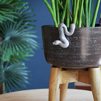 Silver Snake Pot Hanger, 3 of 3