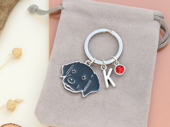 Personalised Black Labrador Retriever Keyring, 6 of 11