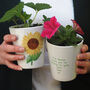Sunflower Teacher Plant Pot With Sunflower Seeds, thumbnail 2 of 3
