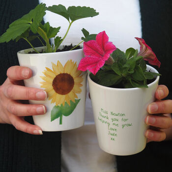 Sunflower Teacher Plant Pot With Sunflower Seeds, 2 of 3