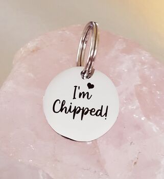 Tiny 20mm Cat ID Tags, Heart Or Round, 5 of 7