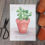 Jade Plant Illustrated Print, thumbnail 1 of 5