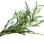 Herb Plants French Tarragon Three X Plants 9cm Pots, thumbnail 1 of 9