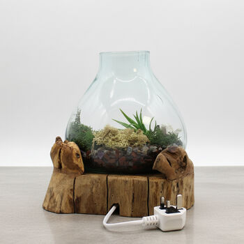 Molten Glass Terrarium Decorative Bowl On Wooden Base, 2 of 9