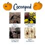 Personalised Halloween Trick Or Treat Chocolate Box, thumbnail 4 of 6