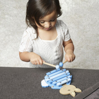 Personalised Peter Rabbit Xylophone, 3 of 5