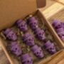 Toffee Apple Skull Shaped Wax Melts For Halloween, thumbnail 2 of 7