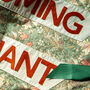 You Are Blooming Brilliant Banner Art, thumbnail 5 of 6