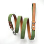 Soft Green Leather Dog Lead, thumbnail 1 of 6