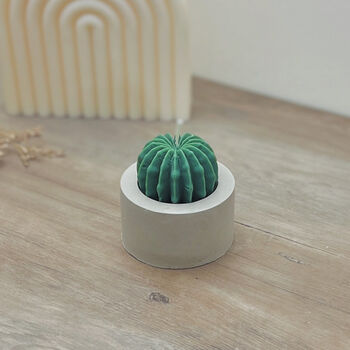 Round Barrel Cactus Candles Saguaro Cacti Candle Gift, 9 of 10