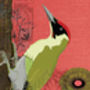 Green Woodpecker Greetings Card, thumbnail 3 of 3