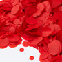 Red Wedding Confetti | Biodegradable Paper Confetti, thumbnail 4 of 6