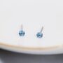 Sterling Silver December Birthstone Earrings, thumbnail 5 of 12