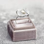 Fossil Druzy Ring Adjustable Size, thumbnail 6 of 12