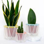 Three Origami Self Watering Eco Plant Pots, thumbnail 5 of 12