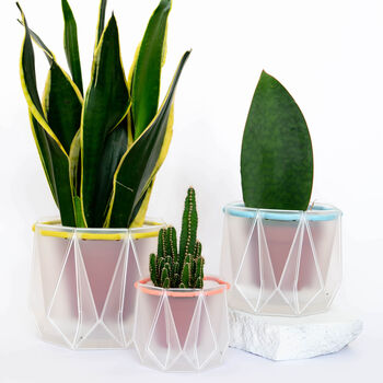 Three Origami Self Watering Eco Plant Pots, 5 of 12