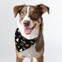 Personalised Tricks For Treats Halloween Dog Bandana, thumbnail 1 of 5