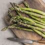 Asparagus Plants 'Guelph Millennium' Two Litre Pot, thumbnail 4 of 5