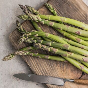 Asparagus Plants 'Guelph Millennium' Two Litre Pot, 4 of 5