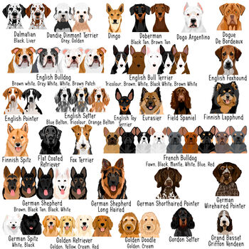 Premium Dog Breed Realistic Illustrations Heart ID Tag, 6 of 10