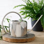 Indoor Watering Can, thumbnail 1 of 2