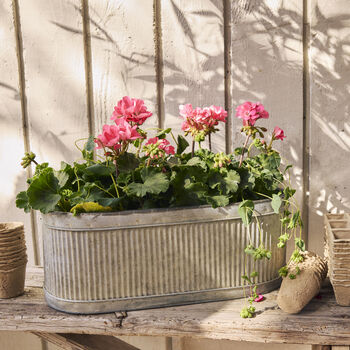 Oval Ribbed Garden Planter, 2 of 5