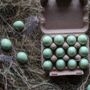 Box Of 60 Light Green Quails Eggs, thumbnail 9 of 11