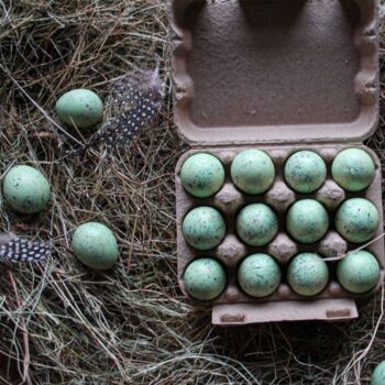 Box Of 60 Light Green Quails Eggs, 9 of 11