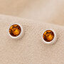 Sterling Silver November Birthstone Stud Earrings, thumbnail 1 of 5