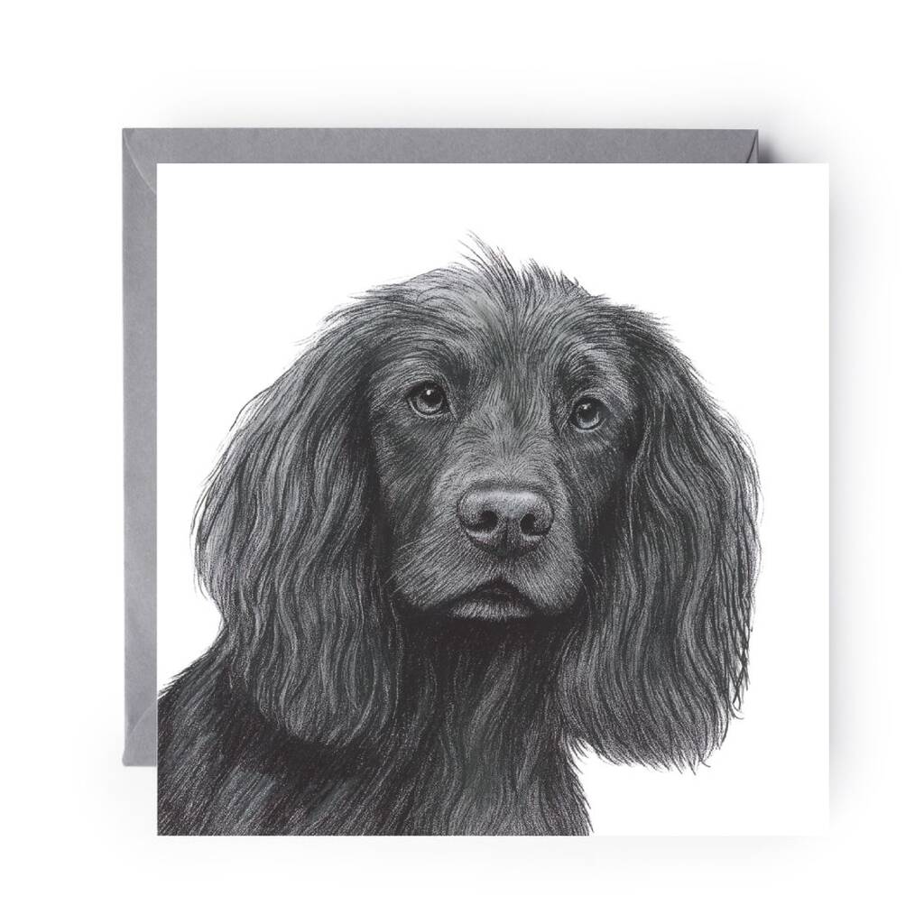 Spaniel Dog Hand Drawn Greeting Card, 1 of 4