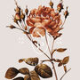 Birth Flower Wall Print 'Rose' For June, thumbnail 9 of 9