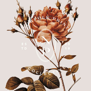 Birth Flower Wall Print 'Rose' For June, 9 of 9