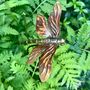 Copper Dragonfly Garden Stake – Outdoor Metal Sculpture – Copper And Brass Insect On Curved Pole, thumbnail 4 of 7