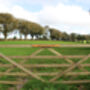 Engraved Wooden Gate Sign, thumbnail 8 of 12