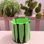 Graffiti Round Decorative Pot Green And Black, thumbnail 2 of 5