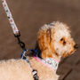 Flower And Bee Design Dog Harness, thumbnail 3 of 11