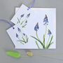 Gift Tags With Grape Hyacinth Illustrations, thumbnail 4 of 4