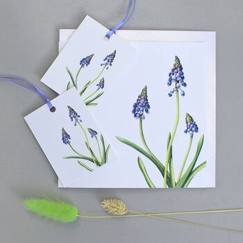 Gift Tags With Grape Hyacinth Illustrations, 4 of 4