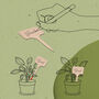 Bamboo Plant Markers, thumbnail 5 of 7