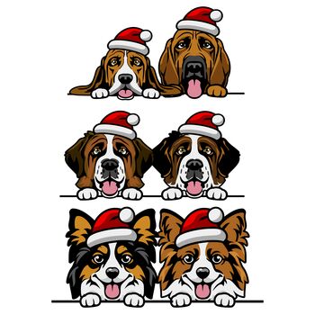 Personalised Dog Christmas Wrapping Paper, 4 of 8