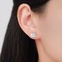 Cute Guinea Pig Stud Earrings In Sterling Silver, thumbnail 5 of 10