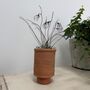 Wire Snowdrops In Handmade Terracotta Pot, thumbnail 7 of 8
