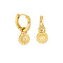 Sun Charm Huggie Hoops In Gold Colour Finish With Removable Charms, thumbnail 1 of 9